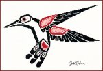 (image for) Salish Hummingbird